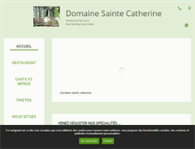 Tablet Screenshot of domaine-ste-catherine.com